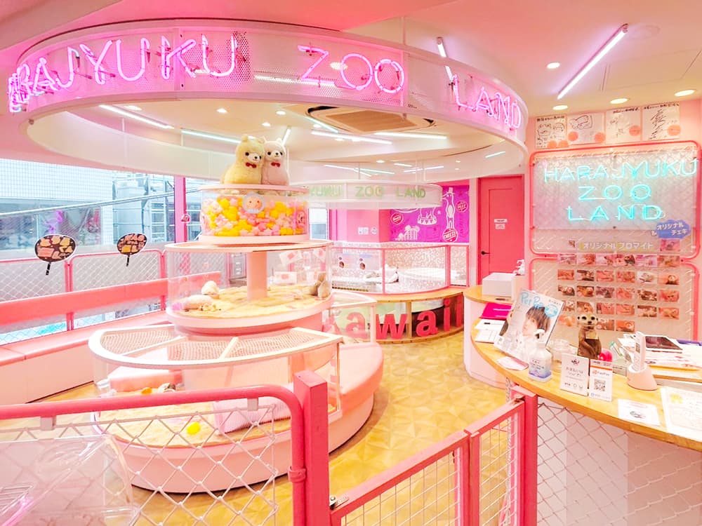 HARRY原宿かわいい動物園 イメージ