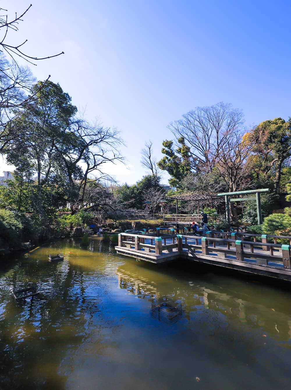 東京原宿竹下通り観光ガイドマップ【TOH】TOUR OF HARAJUKU イメージ