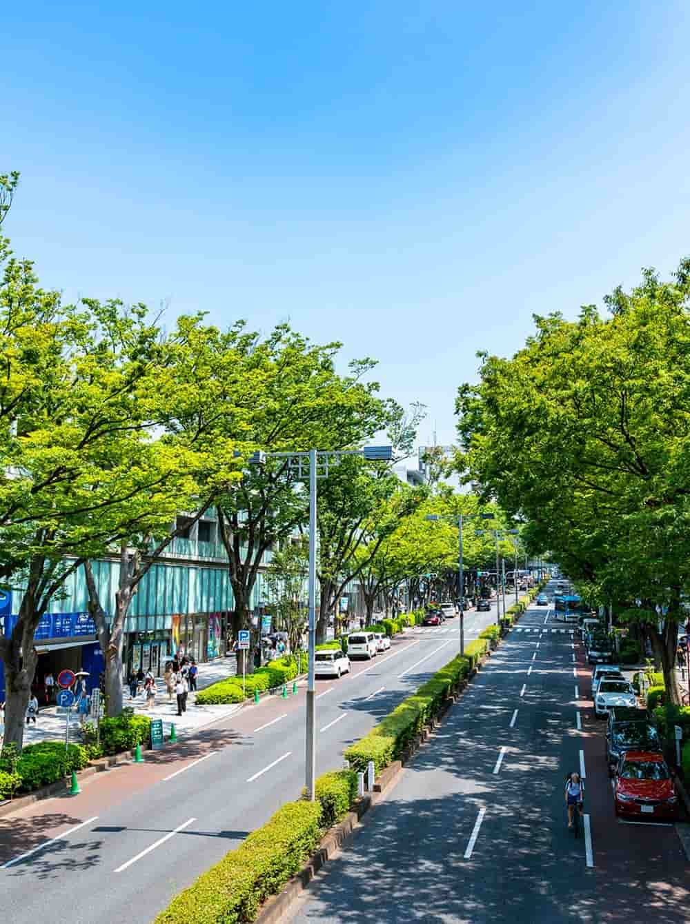 原宿周辺の名所｜東京原宿竹下通り観光ガイドマップ【TOH】TOUR OF HARAJUKU｜おすすめスポット情報